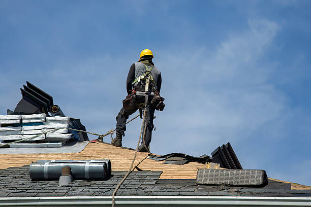 Professional Storm Damage Roof Repair technician working in Fulton, IL